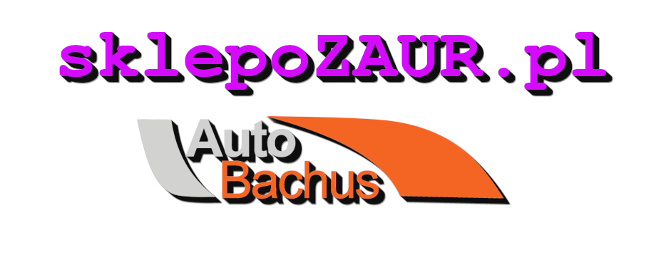 AUTO BACHUS P.S.A.